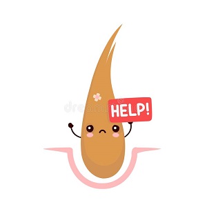 Avatar de Usuario